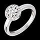 Frau ring rose pave weissgold 026 karat