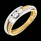 Kauf trilogie bipolaire en weiss und gelbgold 038 karat