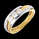 Geschenke Frau trilogie bipolaire en weiss und gelbgold 053 karat
