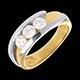 Geschenke Frauen trilogie bipolaire en weiss und gelbgold 077 karat