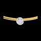 Gold Schmuck collier flohdiamant gelb und weissgold