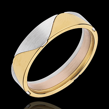 Juwelier Ring Harlekin in Gelbgold und Weissgold