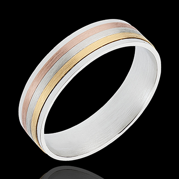 kaufen Goldring Lacet in drei Goldt�nen