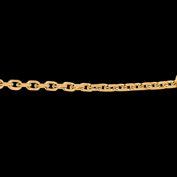 Kauf Panzerkette in Gelbgold